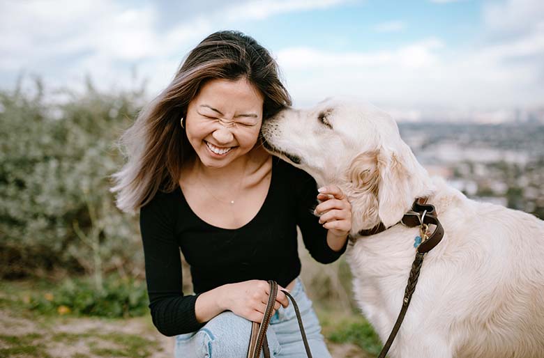 photo of Countryside Villas grounds